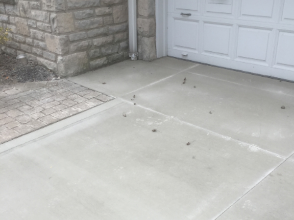 concrete driveway project in Columbus, Ohio ODC Construction installs concrete driveway for residential property in Columbus